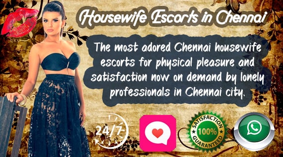 Chennai Housewife Escort services Banner